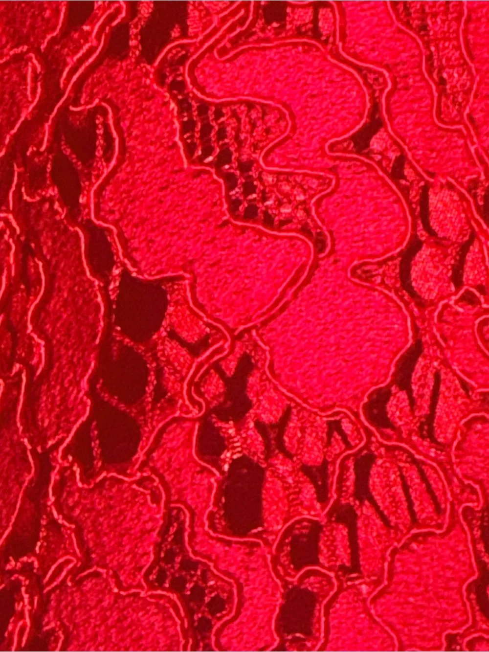 J Crew Red Lace Cropped Pull on Pants - Elegant Women's Trousers- Size 16